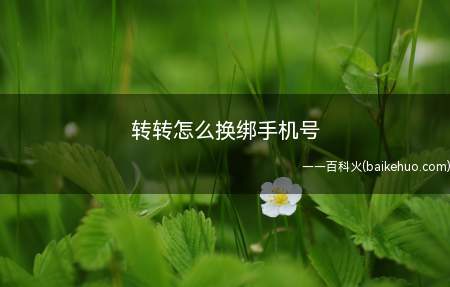 转转怎么换绑手机号(华为p40pro,iPhone12Pro;系统:emui10)