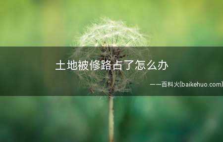 土地被修路占了怎么办(土地被占用修路应当对土地使用权人进行补偿)