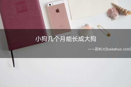 小狗几个月能长成大狗(小狗狗一般八个月左右就能长成大狗)