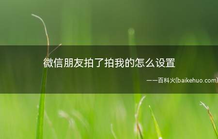 微信朋友拍了拍我的怎么设置