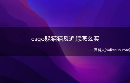 csgo躲猫猫反追踪怎么买