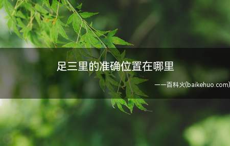足三里的准确位置在哪里(足三里指压小技巧)