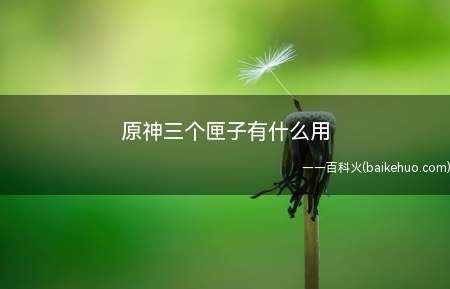 祭祀之匣:蒙德故人的墓碑,三个匣子是开启神像处机关的必要条件