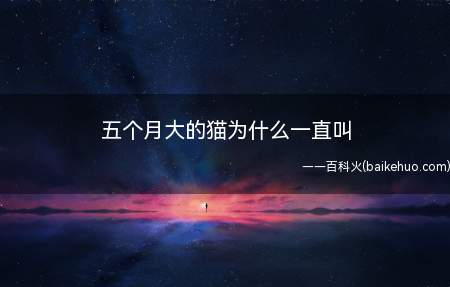 猫咪一直叫的原因有很多,五个月大的猫咪还没到发情阶段,应该不