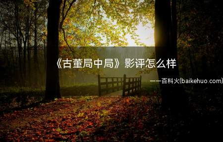 《古董局中局》影评怎么样(《古董局中局》影评怎么样 好不好看)