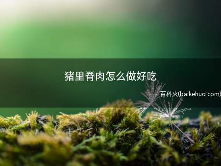 猪里脊肉怎么做好吃