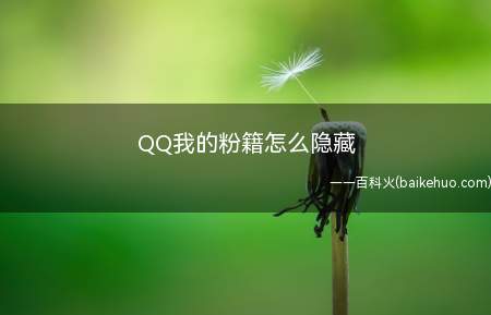 QQ我的粉籍怎么隐藏（QQ我的粉籍怎么隐藏第一步）