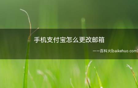 手机支付宝怎么更改邮箱