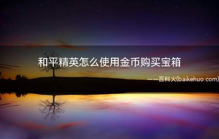 和平精英怎么使用金币购买宝箱