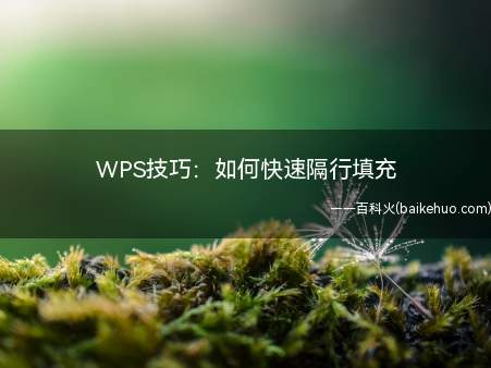 WPS技巧：如何快速隔行填充（WPS技巧:如何快速隔行填充）