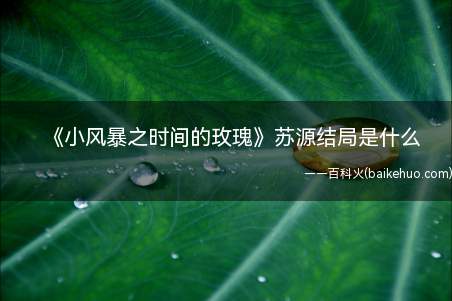 《小风暴之时间的玫瑰》苏源结局是什么(小风暴之时间的玫瑰苏源结局是什么 苏源扮演者是谁)