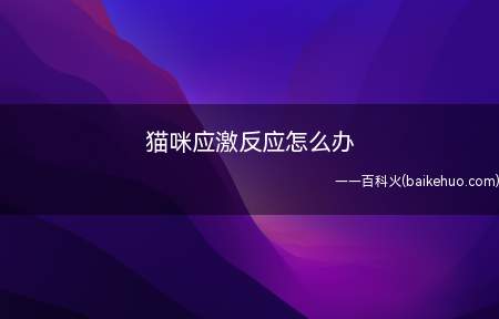 猫咪应激反应怎么办(猫猫心情平复了,给它喂一点小零食)