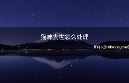 猫咪去世怎么处理(猫咪去世后,需要将猫咪送到附近无害化处理中心火化)