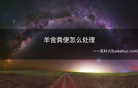羊舍粪便怎么处理(羊舍粪便怎么处理呢)