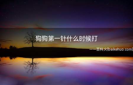 狗狗第一针什么时候打(狗狗的第一针疫苗需要在狗狗2月龄的时候进行注射的)