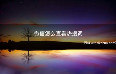 微信怎么查看热搜词(微信怎么查看最近热门的关键词以及对应的微信指数)