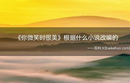 《你微笑时很美》根据什么小说改编的(《你微笑时很美》剧情角色介绍)