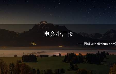 电竞小厂长(电竞小厂长是什么意思 小乐言的是谁)