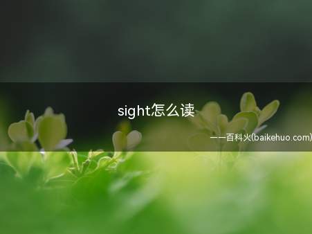 sight怎么读（sight的读法英音[sat]）