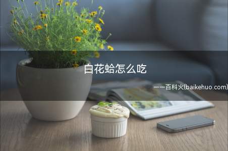 白花蛤怎么吃
