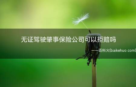 无证驾驶肇事保险公司可以拒赔吗(无证驾驶肇事保险公司不可以拒赔)