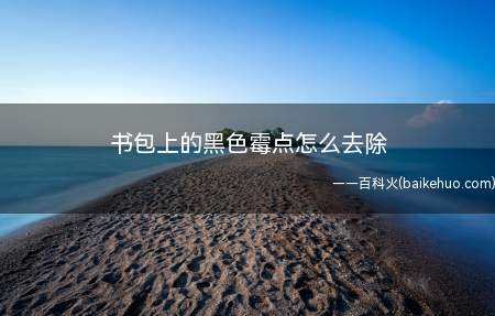 书包上的黑色霉点怎么去除