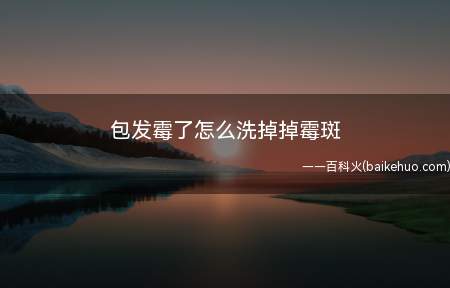 包发霉了怎么洗掉掉霉斑(包发霉后洗掉霉斑的方法)