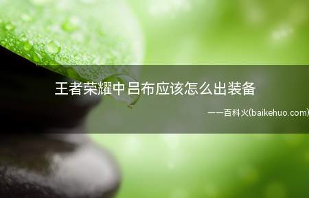 王者荣耀中吕布应该怎么出装备(王者荣耀吕布出装备情况)