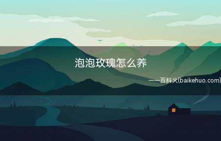 泡泡玫瑰怎么养(泡泡玫瑰的养护方法有哪些)