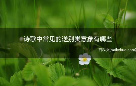 诗歌中常见的送别类意象有哪些