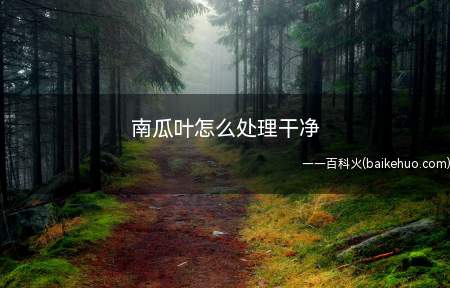南瓜叶怎么处理干净