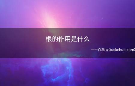 植物的根是营养器官,根系在土壤中还有固定植株的作用