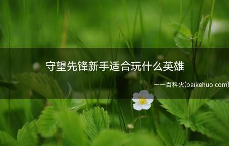 守望先锋新手适合玩什么英雄(守望先锋新手有哪些适合玩的英雄)