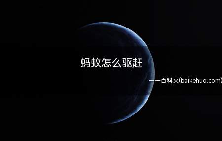 蚂蚁怎么驱赶