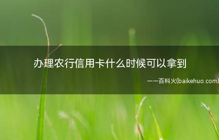 办理农行信用卡什么时候可以拿到（从递交办卡材料起,一般要等待20）