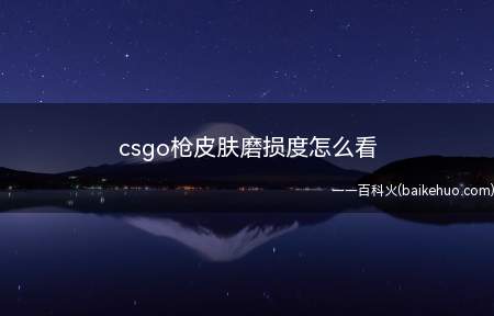 csgo枪皮肤磨损度怎么看(csgo枪皮肤磨损度在哪可以查看)
