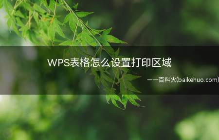 WPS表格怎么设置打印区域(WPS表格设置打印区域的方法)