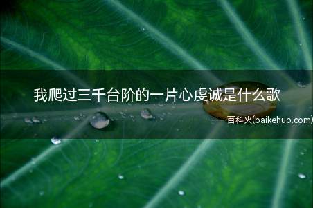 我爬过三千台阶的一片心虔诚,拜过了菩萨焚香独善其身