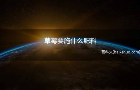 草莓要施什么肥料(种植草莓一般要施氮肥、磷肥、钾肥等肥料)