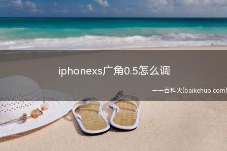 iphonexs广角0.5怎么调(iphonexs广角0)