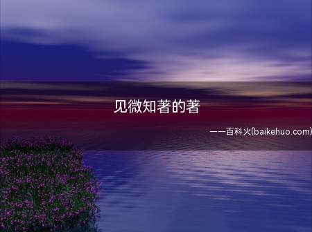 见微知著的著(“见微知著”中的“著”是什么意思)