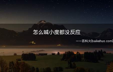 怎么喊小度都没反应(小度出现呼叫没反应时的几个解决办法)