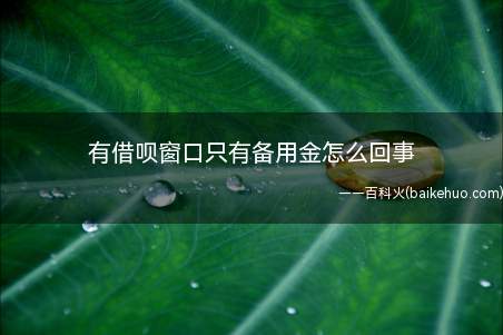 用户有借呗的申请入口,但是借呗没有额度,只有备用金