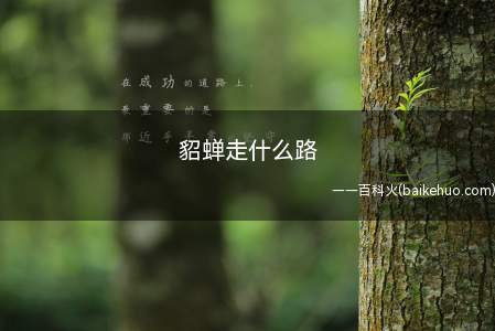 貂蝉走什么路王者荣耀手游中,法师英雄貂蝉适合走中路