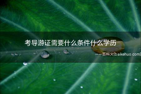 考导游证需要什么条件什么学历(导游人员执业必须具有导游证吗)
