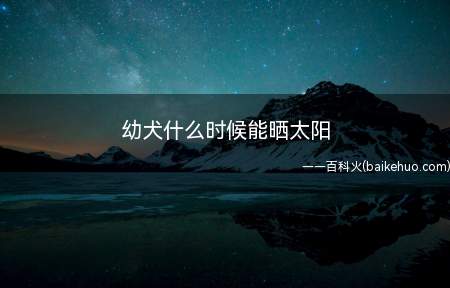幼犬什么时候能晒太阳(幼犬什么时候都可以晒太阳,但是注意不要长时间暴晒)