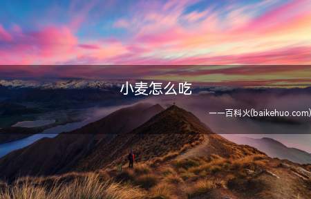 小麦怎么吃