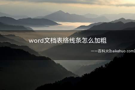 word文档表格线条怎么加粗(word文档表格线条加粗的方法)