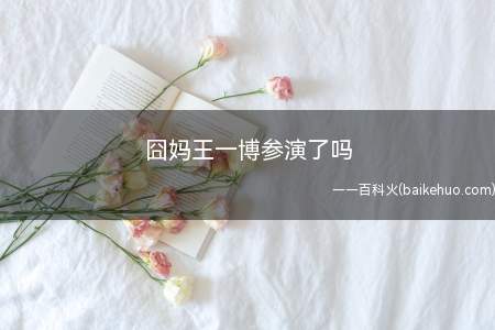 囧妈王一博参演了吗(王一博献唱主题曲《给妈咪》,于2020年1月16日发行)