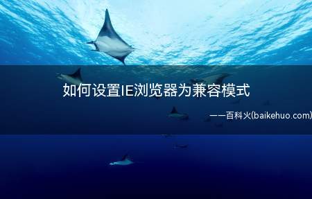 如何设置IE浏览器为兼容模式
